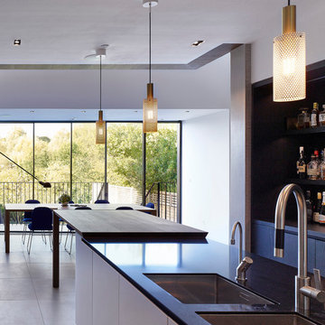 Hampstead Ponds House