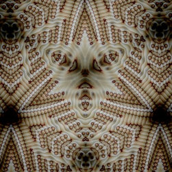 Plywood texture patterns - Prints And Posters