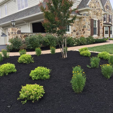 Newtown Square - New Owner, New Plants