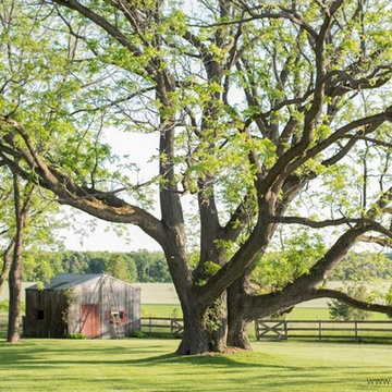 BannockBurn 1878... Our Home and Design Studio