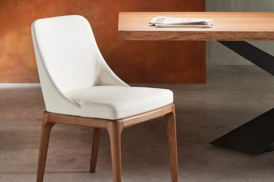 Modern Italian Dining Chairs