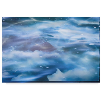"Looking Down On Clouds" by Anthony Paladino, Canvas Art