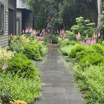 Paths & Walks