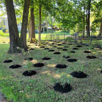 Alberto Alavez Professional Lawn Services LLC 3