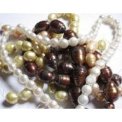 Cathy Gardner's photo