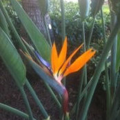 Marla Sinko's photo