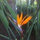 marla_sinko7147