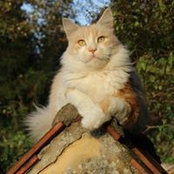 Tina Hübenthal's photo