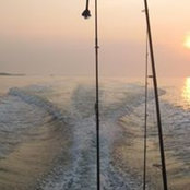 Michael Dangelo's photo
