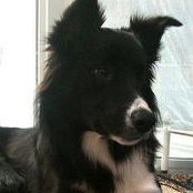 Eileen Hoskin's photo