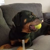 David Keith's photo