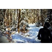 Quintin Vallozzi's photo