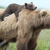 Chris Daly's photo