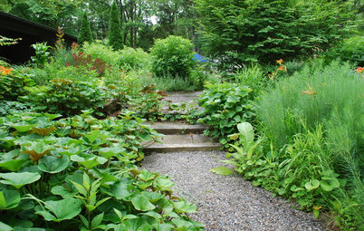 Tour a New American Garden in New Jersey