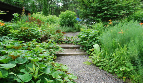 Tour a New American Garden in New Jersey