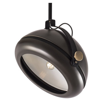 Ilex CHRT-SS-MA-ABPC/BN-IN Chroma Tilt Pendant Light. Incandecent. Matte Acrylic