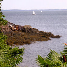 Mediterranean Landscape