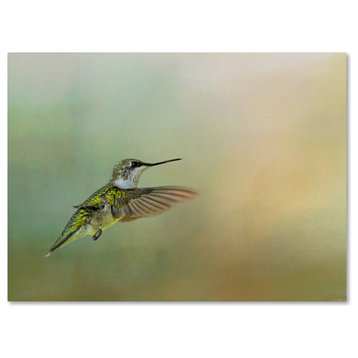 Jai Johnson 'Peaceful Day With A Hummingbird' Canvas Art, 24 x 18