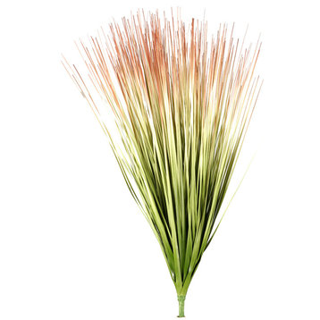Onion Grass, Set of 3, Green/Brown, 26"