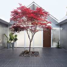 Eichler
