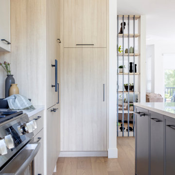 GOVERMENT LANE RENOVATION | TOWNHOUSE | BURNABY