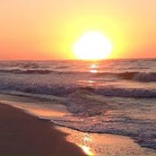 Billie Montgomery's photo