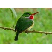 Lizzette De Jesus's photo
