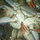 webuser_786024