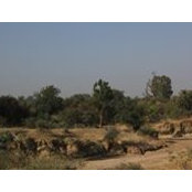 Photo de Asmau Dankano