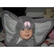 Missy Elrod's photo