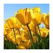 Debi Doherty's photo