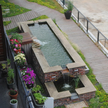 Koi Pond