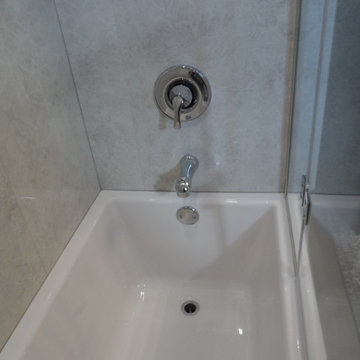 Pretty little main bath upgrade