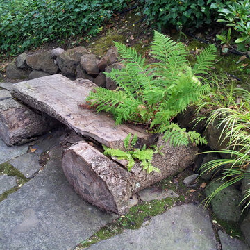 Landscape Design & Installation