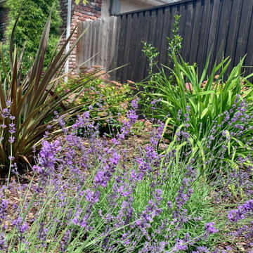 Planting Detail