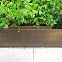 landscape designers