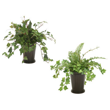 Mini Ivy And Mountain Ivy Assortment In Bronze Mint Julep Pot (Set Of 4)