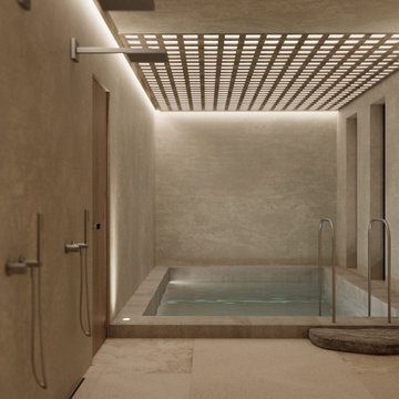Small spa complex with a sauna, cold pool and relaxation areas in Brussels