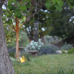 Shaded Picnic Stop - Bird Feeders