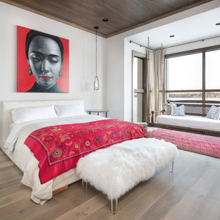 Ispirazione per una camera degli ospiti etnica con pareti bianche, pavimento in legno massello medio e pavimento marrone