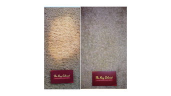 Carpet Blech Spot Repair