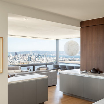 Sutro Heights Modern
