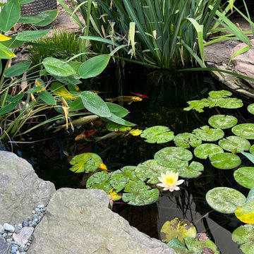 Backyard Paradise in McLean Virginia
