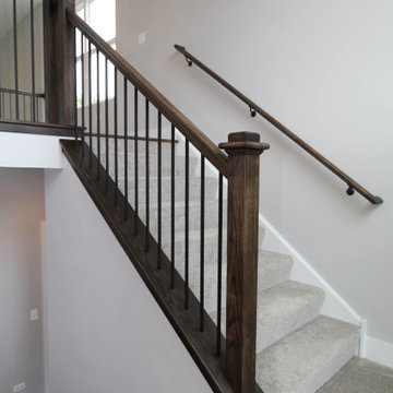Modified Laguna I | Reserves of Dunmoor Estates Plainfield, IL