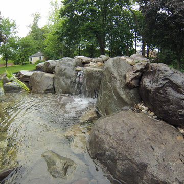 Out with the Old Pond in With The New