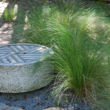 Contemporary Farmhouse Courtyard Garden