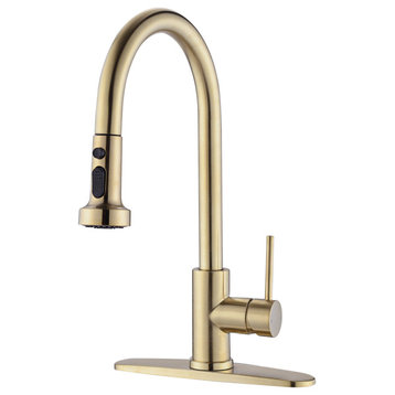 Single Handle Deck Mounted High Arc Pull Down Kitchen Faucet with Sprayer, Brush