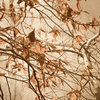 Nature Wall Decor: Aged Winter Leaves Botanical  Photo Unframed Print, 11" X 14"