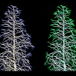 Fractal Seasons - Inverted - Products