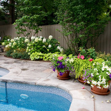Patio Ideas